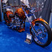 Robert Carroll Photo 47