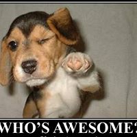 Tracey Carlton Photo 18