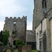 Anne Bosworth Photo 5