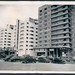 Sherry Collins Photo 40