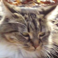 Deborah Heine Photo 11