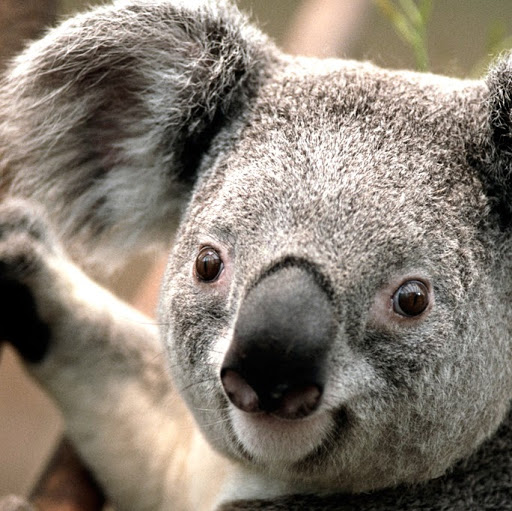 Richard Gaudet Photo 18