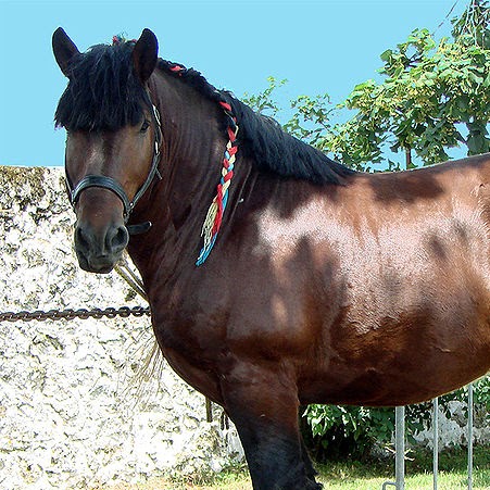 Frances Carrington Photo 8