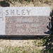 Ashley George Photo 18