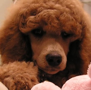 Tommy Jacobs Photo 20