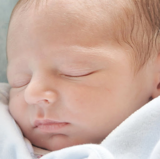 Ellen Stevens Photo 11