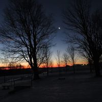 Marlene Roth Photo 24