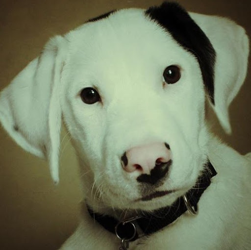 Laurie Elliott Photo 11