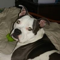 Kathy Hopkins Photo 33