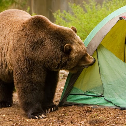 Chad Walsh Photo 16 Chad Walsh Photo 16