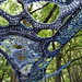 Mandy Long Photo 31