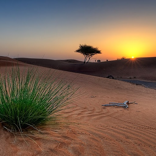 Will Watkins Photo 32