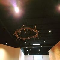 Sara Shaner Photo 5
