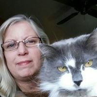 Teri Foster Photo 39