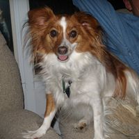 Diane Rowland Photo 23