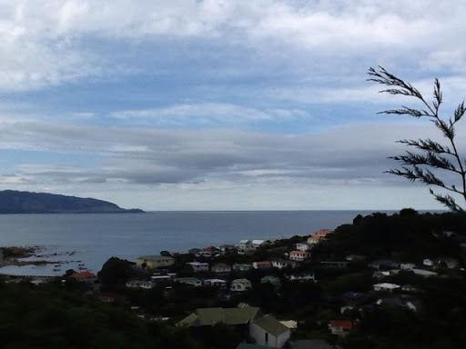 Jenny Wilkie Photo 1