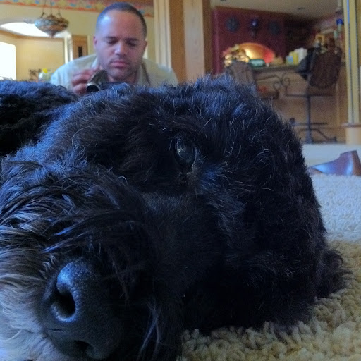 Mark Howard Photo 34 Mark Howard Photo 34