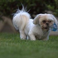 Reggie Murphy Photo 19