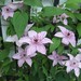 Christopher Moser Photo 36