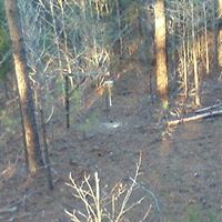 Johnny Foreman Photo 12