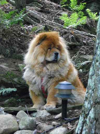 Julie Munro Photo 11