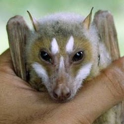 Gary Sheppard Photo 13