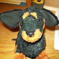 Betty Chandler Photo 6