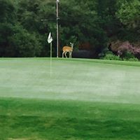 Barbara Beebe Photo 10