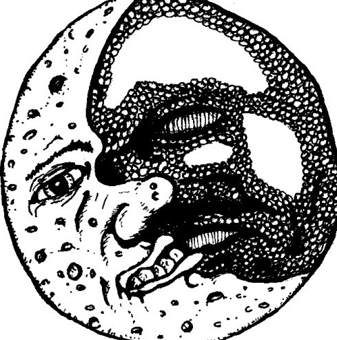 Andrew Link Photo 26