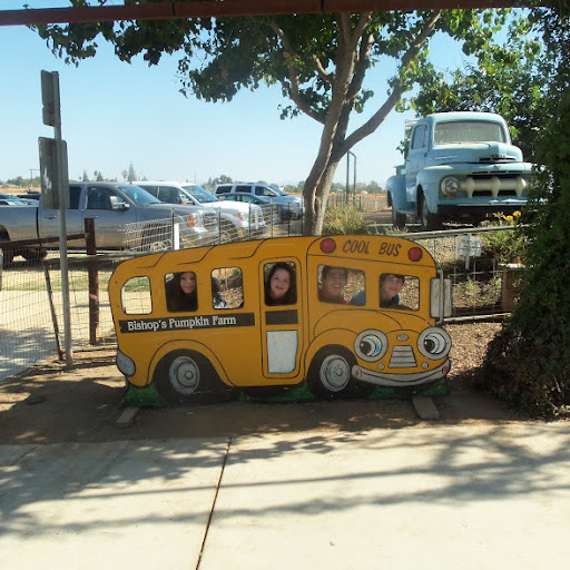 Nancy Gunter Photo 13