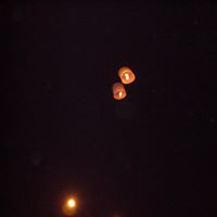 Geraldine Olson Photo 18