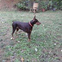 James Tipton Photo 45