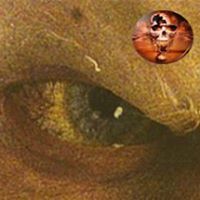 Randy Norris Photo 9