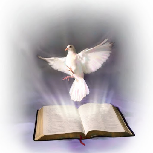 Yolanda Gonzalez Photo 11