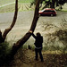 Theresa Groves Photo 28