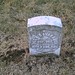 Patrick Cavanaugh Photo 31