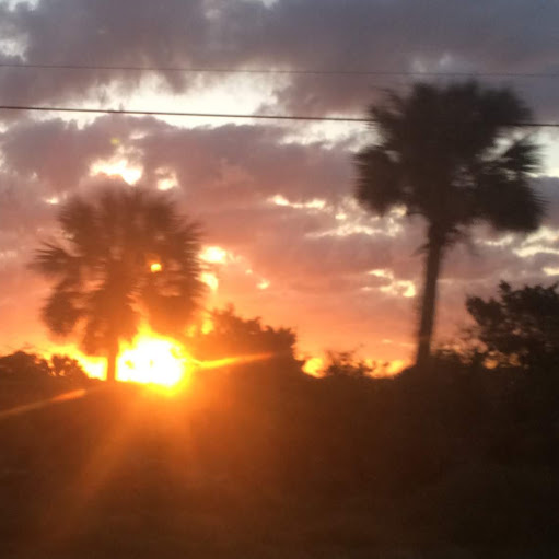 Susan Sadler Photo 18