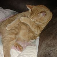 Lisa Dunaway Photo 12