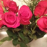 Judy Singleton Photo 39