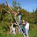 Sue Bowman Photo 13