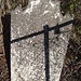 James Gwin Photo 21