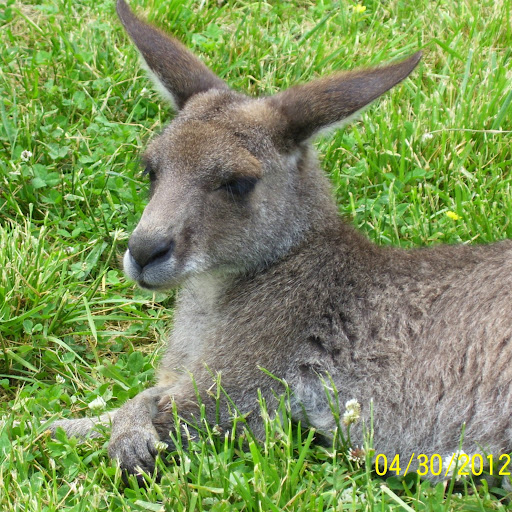 Cheryl Roberts Photo 42