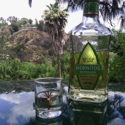 Scott Medina Photo 11