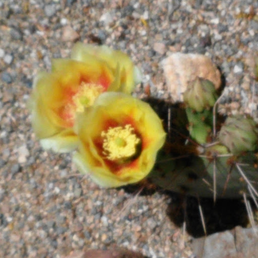 Elise Moore Photo 21