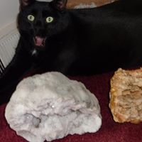 Victoria Schmidt Photo 21