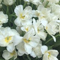 Kathy Lozano Photo 26