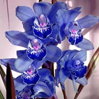 Shannon Magee Photo 43