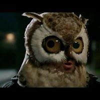 Paul Waites Photo 13