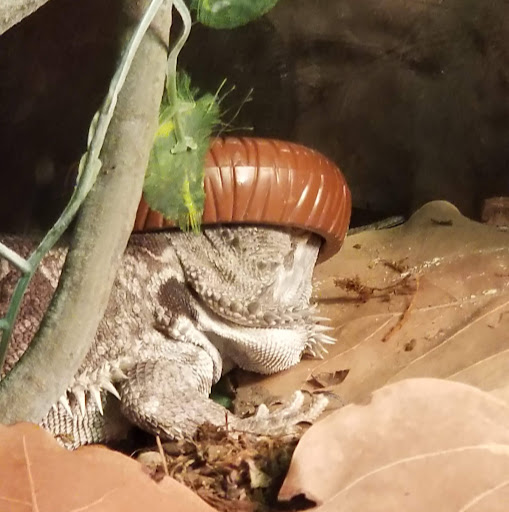 Traci Roberts Photo 20