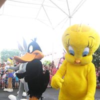 Sandra Urban Photo 4